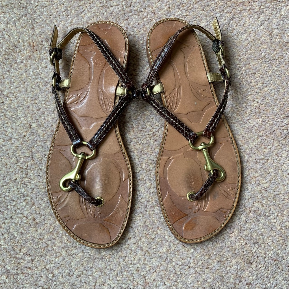 COACH Python Leather Brown and Gold Lobster Claw Thong Flat Sandal Size 5 1/2